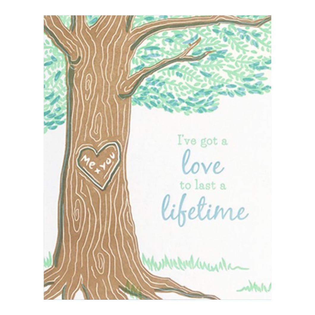 Lifetime Love