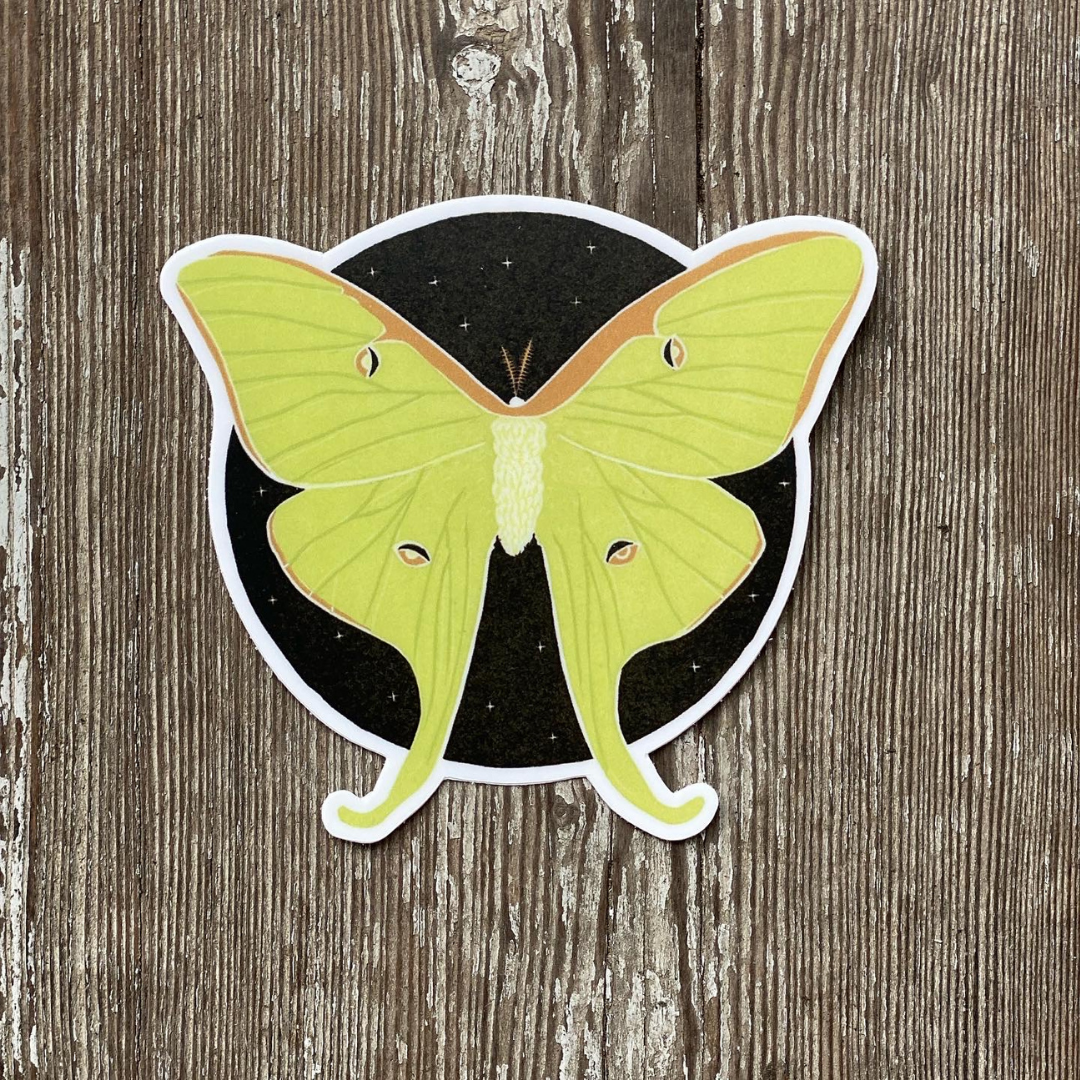 Luna Moth Sticker Luna Moth Vinyl Sticker – Stocklist
