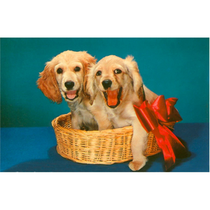 Puppies in Basket Postcard