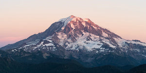 The Mountain Tumbler - Mt. Rainier
