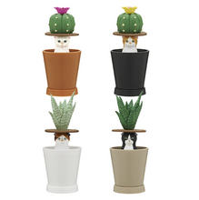 Load image into Gallery viewer, Cat Peek Planter Blind Box

