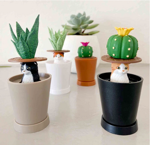 Cat Peek Planter Blind Box