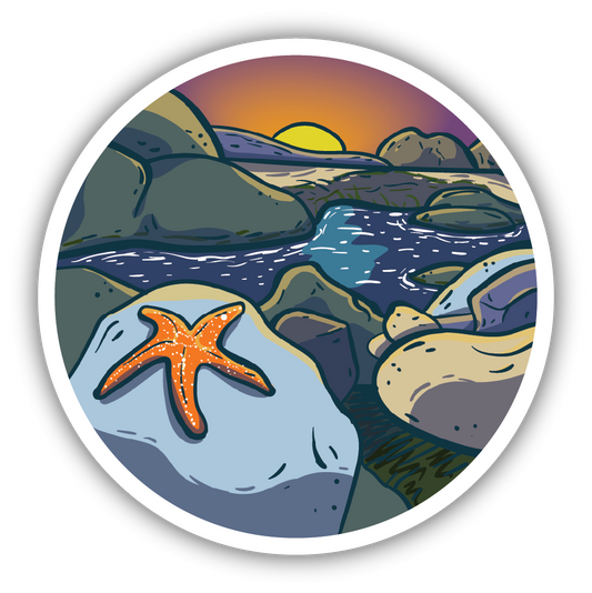 Starfish Scene Sticker