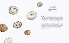 Load image into Gallery viewer, The Pebble Spotters Guide
