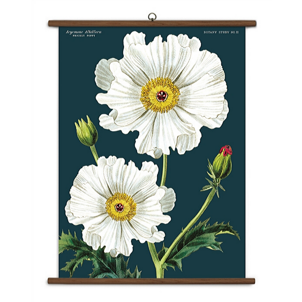 A vintage wall chart featuring two white flowers on a navy blue background.