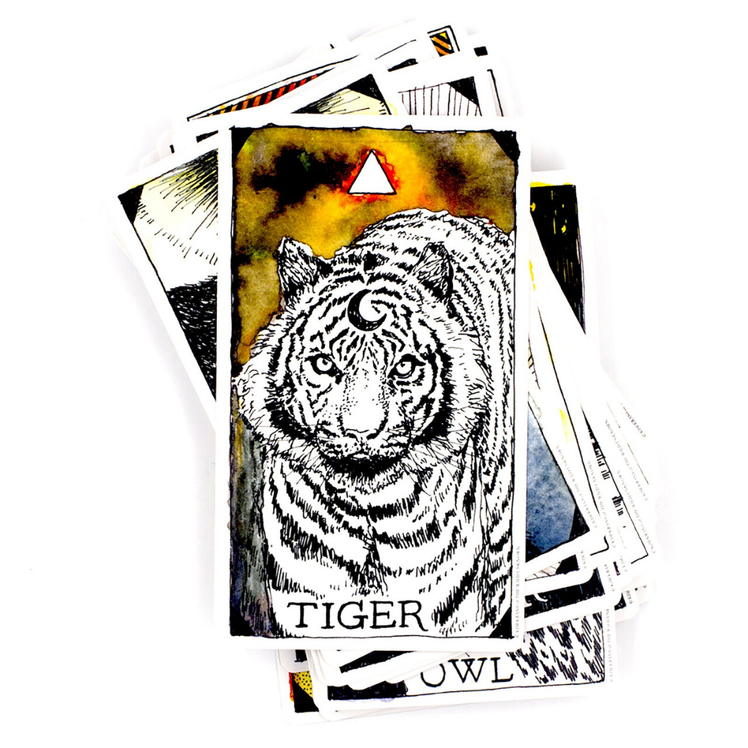 Wild Unknown Animal Spirit Card Deck and Guidebook