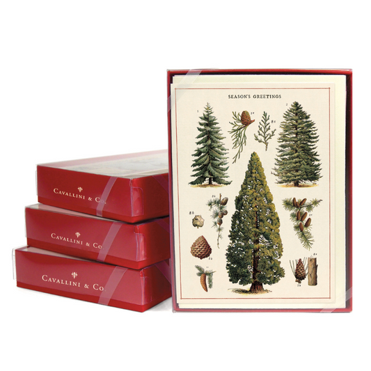 Cavallini & Co. Boxed Note Cards - Christmas Trees