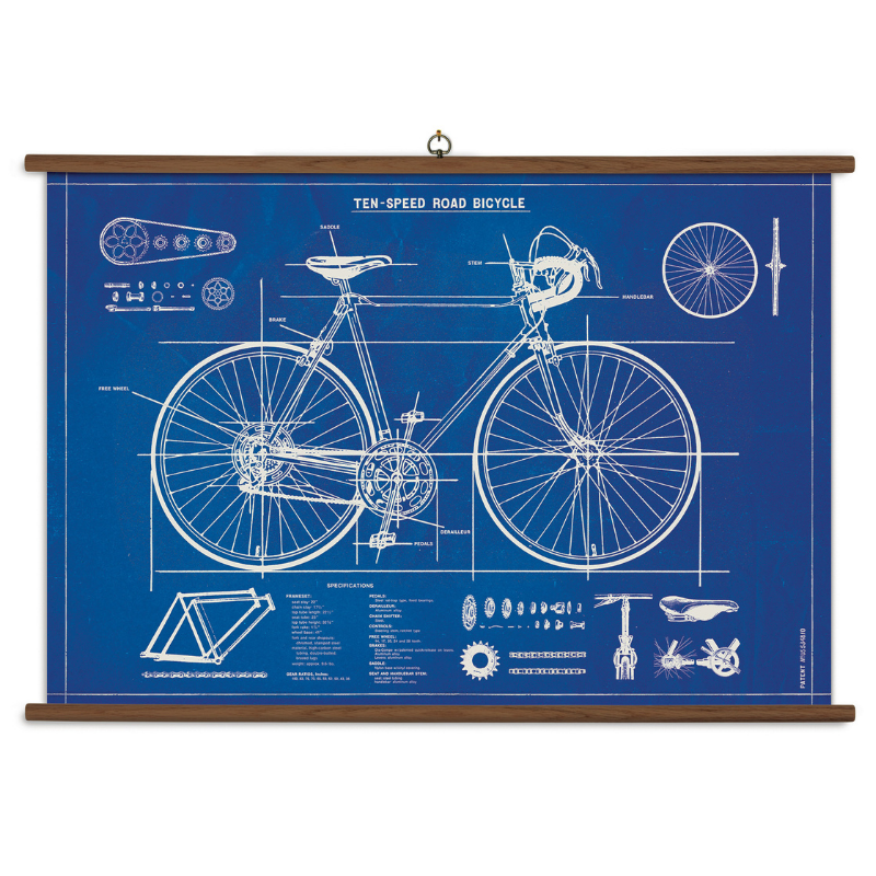 Cavallini & Co. Vintage School Chart - Bicycle Blueprint