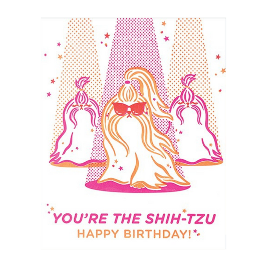 You're the Shih Tzu