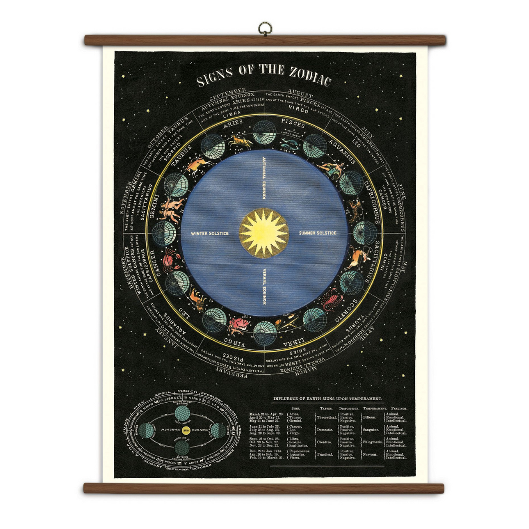 Cavallini & Co. Vintage School Chart - Zodiac