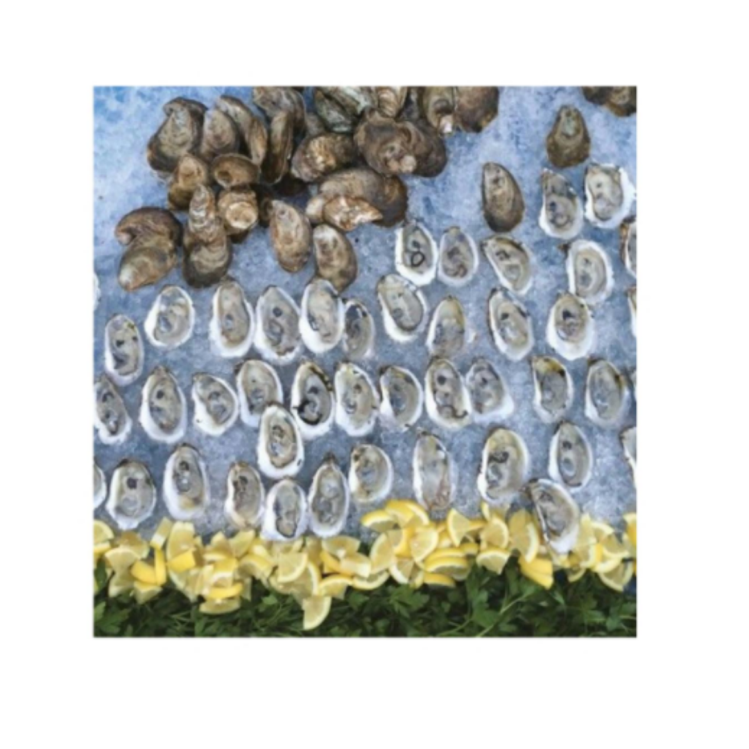 Appreciating Oysters