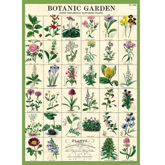 Cavallini & Co. Botanic Garden Wrap which features Hardy Ornamental Flowering Plants