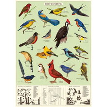 Load image into Gallery viewer, Cavallini &amp; Co. Wrap - Study of Birds
