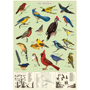 Cavallini & Co. Wrap - Study of Birds