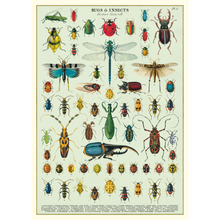 Load image into Gallery viewer, Cavallini &amp; Co. Wrap - Bugs &amp; Insects
