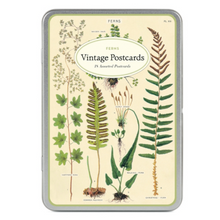Load image into Gallery viewer, Cavallini &amp; Co. Ferns Postcards
