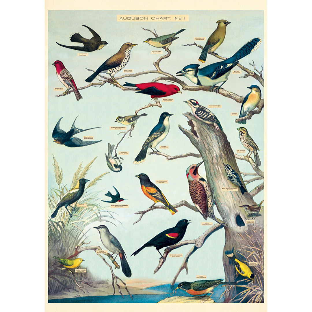 An art print and paper wrap which features various species of bird.