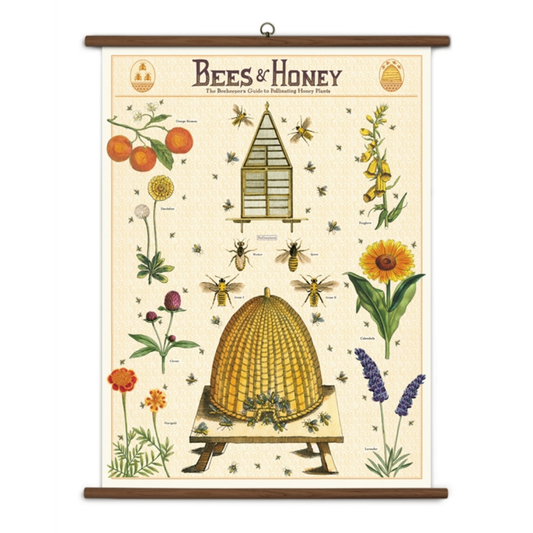 Cavallini & Co. Vintage School Chart - Bees & Honey