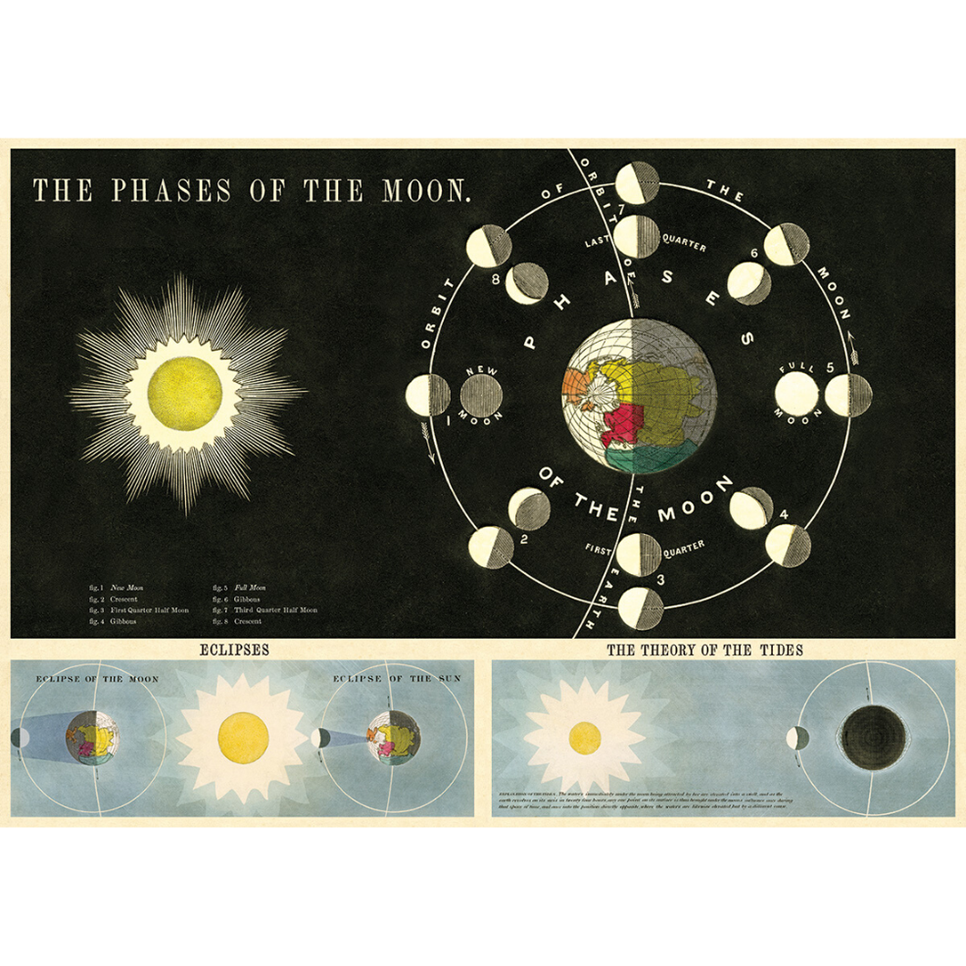 An art print and paper wrap which features the phases of the moon