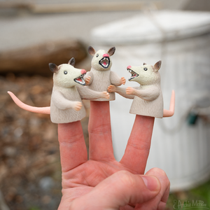 Finger Possums