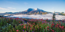 Load image into Gallery viewer, The Mountain Pint - Mt. St. Helens
