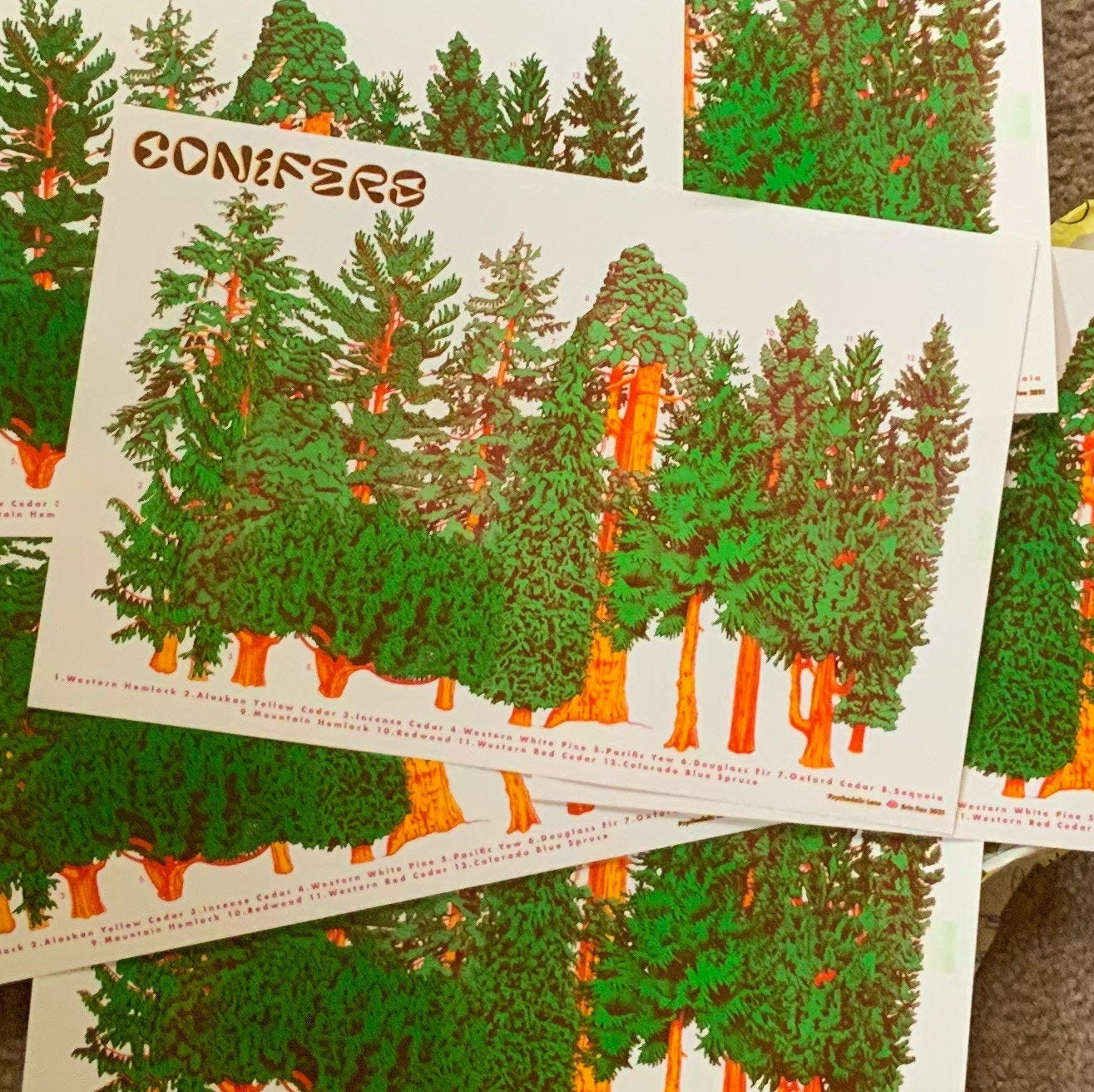 Conifer Riso Print