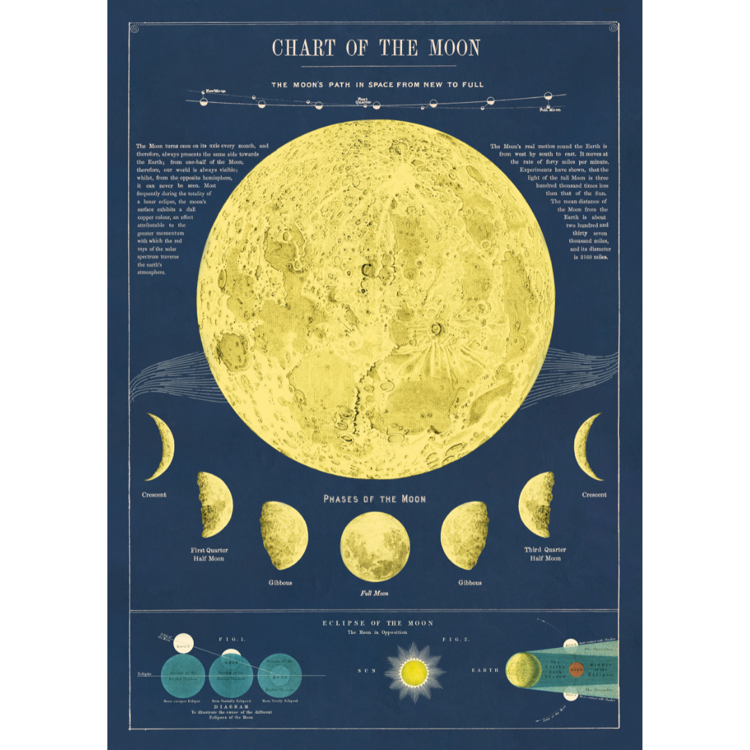 Cavallini & Co. Wrap - Moon Chart
