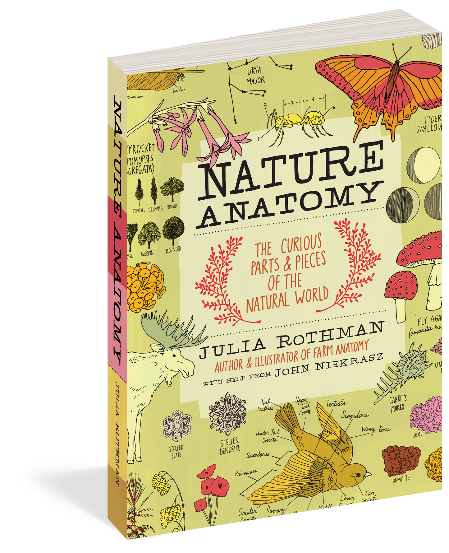 Nature Anatomy - Paperback