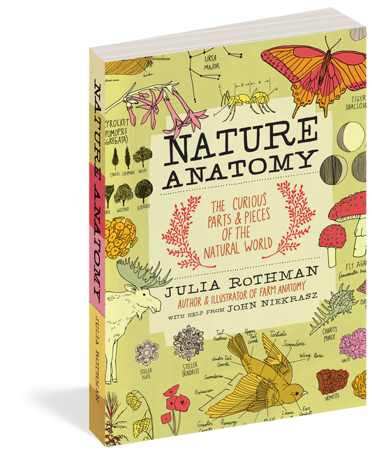 Nature Anatomy - Paperback