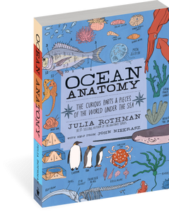 Ocean Anatomy - Paperback