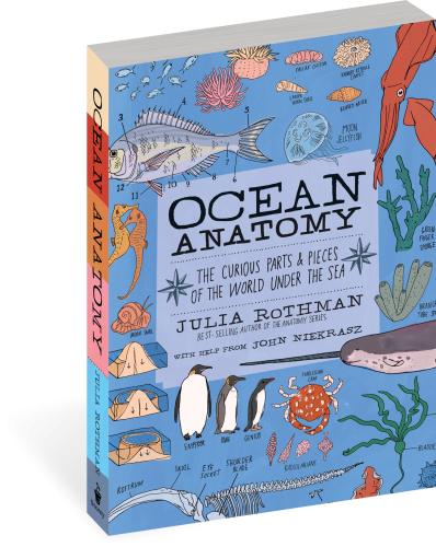 Ocean Anatomy - Paperback