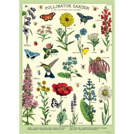 Cavallini & Co. Wrap - Pollinators