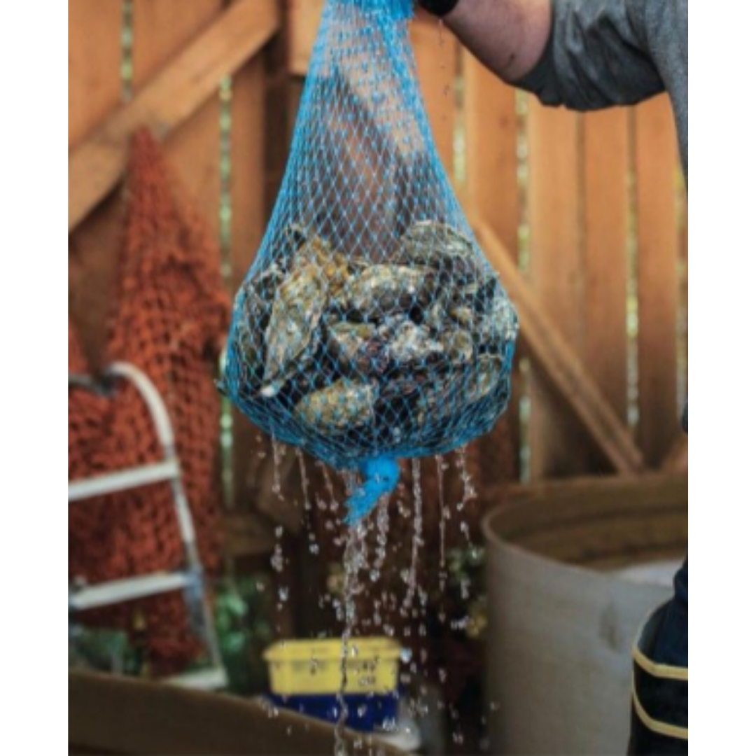 Pacific Northwest Seafood