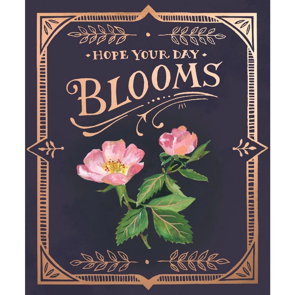 Seed Packet Blooms Pop-up Card