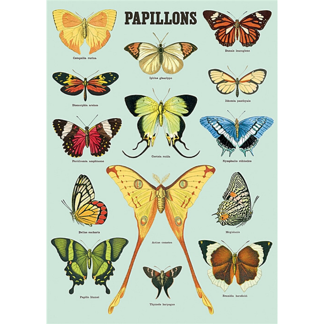 Cavallini & Co. Wrap - Papillons